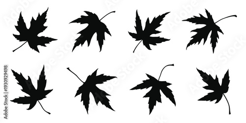 Eight distinct maple leaf silhouettes with detailed edges and stems