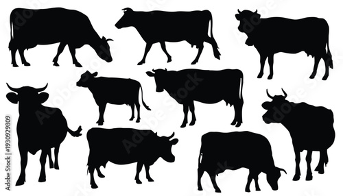 group of black silhouette cows on white background