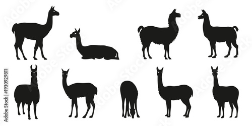 Group of black llama silhouettes in various poses and activities on white