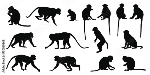 Group of diverse monkey silhouettes in various poses on white background