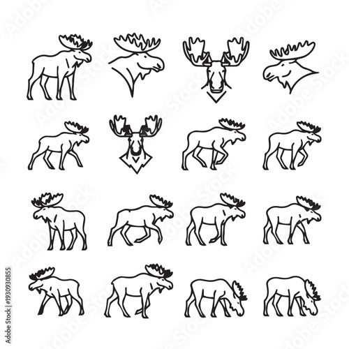 Set of Moose Icons and Silhouettes in Various Poses and Styles