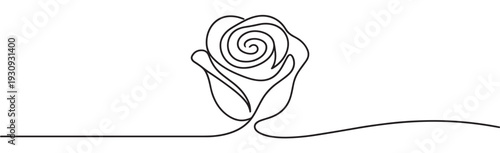 Continuous line art drawing rose flower with an elegant minimalist design, symbolizing love, beauty, and romance.