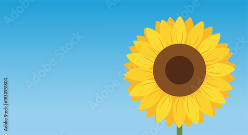 sunflower blooming against a clear blue sky background