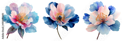 Set of Watercolor bouquet colorful garden flowers with greenery, elegant and airy arrangement for wedding invitation or birthday card template on transparent png background. Ai generated