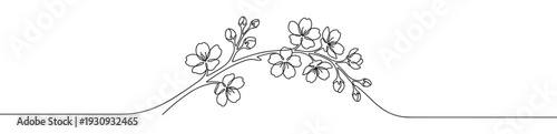 Flowering branch continuous line drawing illustration with delicate blossoms and buds creating an elegant spring floral border.