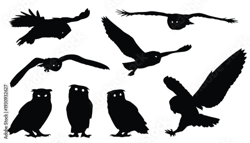 Group of owls in various poses, flying and standing, black silhouettes
