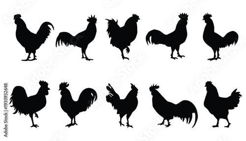 Group of rooster silhouettes standing and strutting in various poses