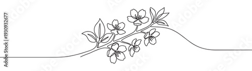 Continuous line art drawing flowering branch with delicate blossoms, creating a beautiful minimalist botanical illustration perfect for spring designs.