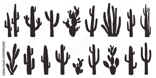 Group of various cactus plants silhouettes in desert landscape setting