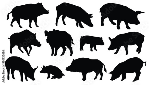 Group of wild boar and piglet silhouettes for wildlife and farm themes