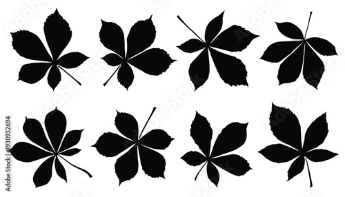 Hand drawn horse chestnut leaves silhouettes set vector isolated on white background