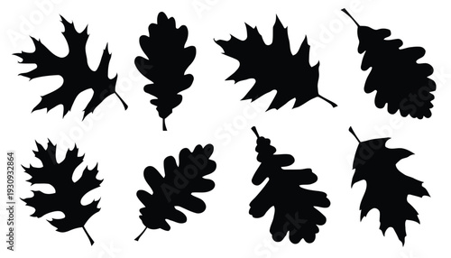 Oak leaves silhouettes vector collection diverse shapes isolated on white background