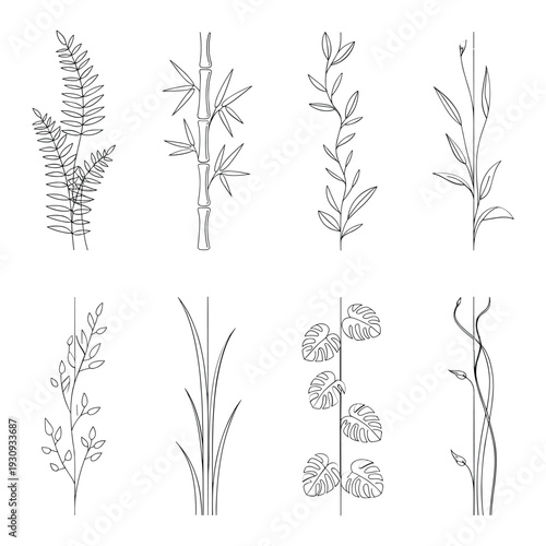 Eight delicate botanical sketches showcasing various plant species and their intricate details isolated on white background, Vector