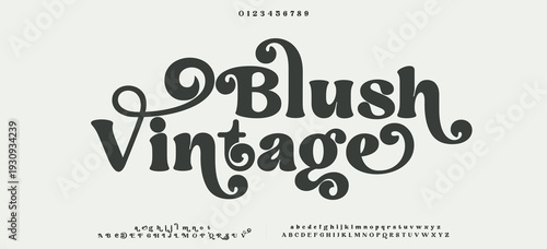 BLUSH VINTAGE Vector elegant alphabet letters font classic modern serif lettering minimal fashion	