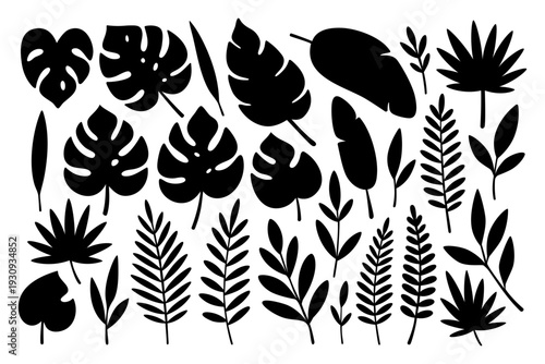 Set of assorted tropical leaves. Black silhouettes of monstera, palm, and banana foliage for botanical and tropical design