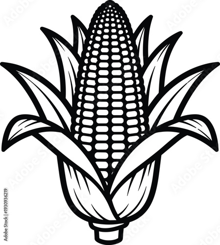 Illustration of a single ear of corn with leaves