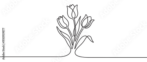 Three beautiful tulips depicted with a continuous single line drawing technique, showcasing minimalist floral art and the delicate essence of nature.