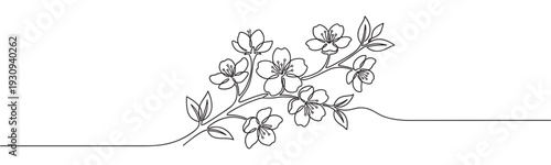 Elegant continuous line drawing of a flowering branch with delicate blossoms and fresh green leaves creating a beautiful spring motif.