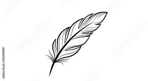 Black and white feather illustration.