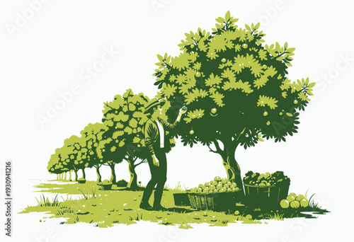 A Farmer Harvesting Ripe Fruits from Lush Fruit Trees Laden with Baskets of Apples and Oranges on a Sunny Orchard with Vibrant Greenery