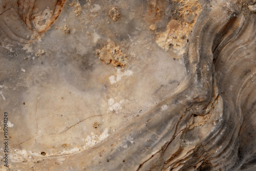 Multilayered natural stone, macro, background.