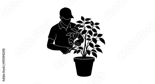 Gardener Pruning Potted Plant Silhouette