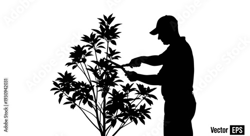 Gardener Trimming Bush Silhouette