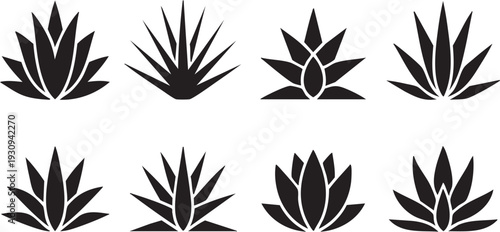 Collection Of Stylized Black Agave Plant Silhouettes Isolated On White Background