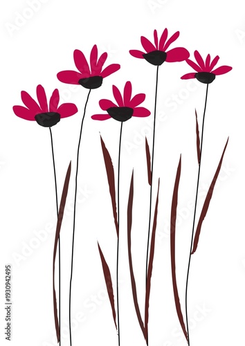 pink flower on white background