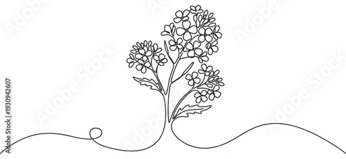 Continuous line drawing of a flowering plant with delicate blossoms and leaves, symbolizing growth and natural beauty.