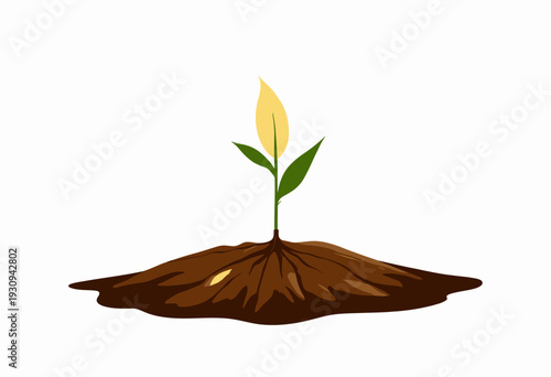 A Young Seedling Sprouting Vibrant Green Leaves from Rich Brown Soil Symbolizing Growth and New Beginnings in a Minimalistic Nature Illustration