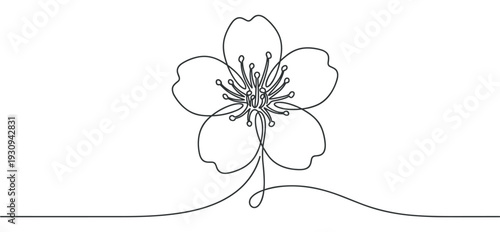 Single elegant flower drawn in continuous line art with delicate petals and prominent stamens symbolizing natural beauty and simplicity.