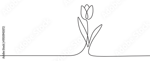 Beautiful tulip flower, gracefully rendered with a single continuous line, embodies minimalist elegance and natural simplicity, perfect for modern design aesthetics.