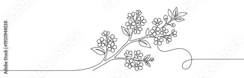 Beautiful continuous line drawing of a flowering branch with delicate blossoms and leaves, symbolizing spring and growth.