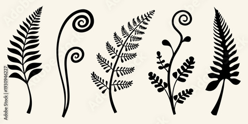 Black silhouettes of various fern fronds and curled fiddleheads