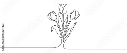 Three elegant tulip flowers drawn in a continuous line style, symbolizing spring, growth, and minimalist beauty with a flowing artistic design.