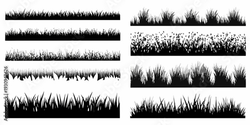 Collection of black and white grass and floral border illustrations