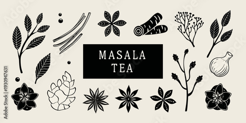 Masala tea illustration featuring botanical elements and spice depictions