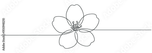 Flower drawn with a single continuous line, showcasing a minimalist and elegant design ideal for various creative projects.