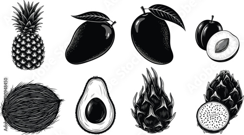 Tropical fruit collection with pineapple mango avocado coconut dragon fruit plum technical cad drawing flat vector illustration for organic food design