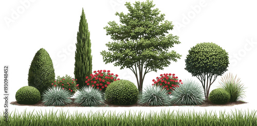 Collection of garden plants and trees technical cad drawing flat vector illustration with green shrubs red flowers and ornamental grass