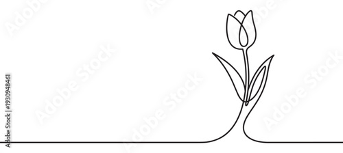 Tulip flower continuous line drawing elegant minimalist design captures the essence of spring and natural beauty with simplicity.