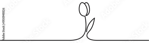 Tulip flower continuous line art drawing representing nature's beauty and elegant simplicity in a modern minimalist style.