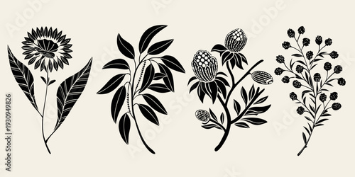 Botanical illustration of diverse plant life in a minimalist style