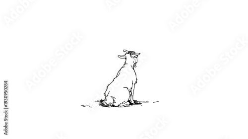 Hand-drawn line art sketch of a sitting goat looking up on a white background, black and white illustration.