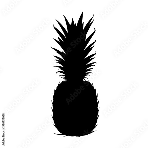 illustration of pineapple