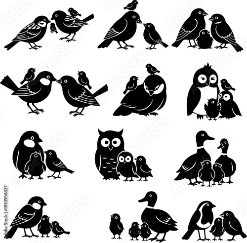 Charming bird family silhouettes with chicks, including owls and ducks, conveying warmth and togetherness.