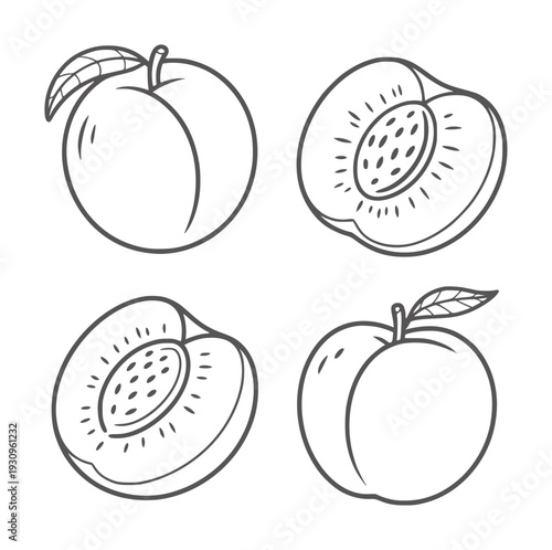 Black and white line of four peaches whole and halved fruit food