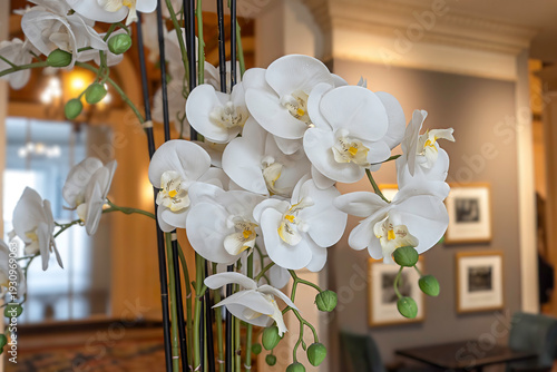 A bouquet of white orchids on a table in a hotel lobby, nobody