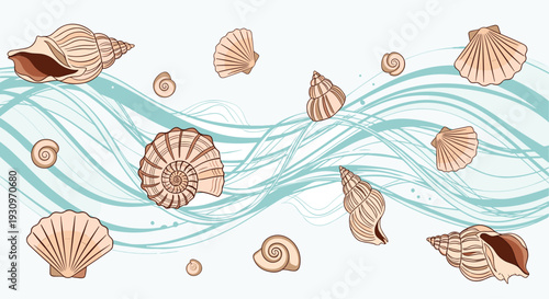 Beautiful collection of hand-drawn seashells of various types scattered over abstract light blue waves on a pale background.